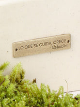 Bonsai "Lo que se Cuida, Crece"